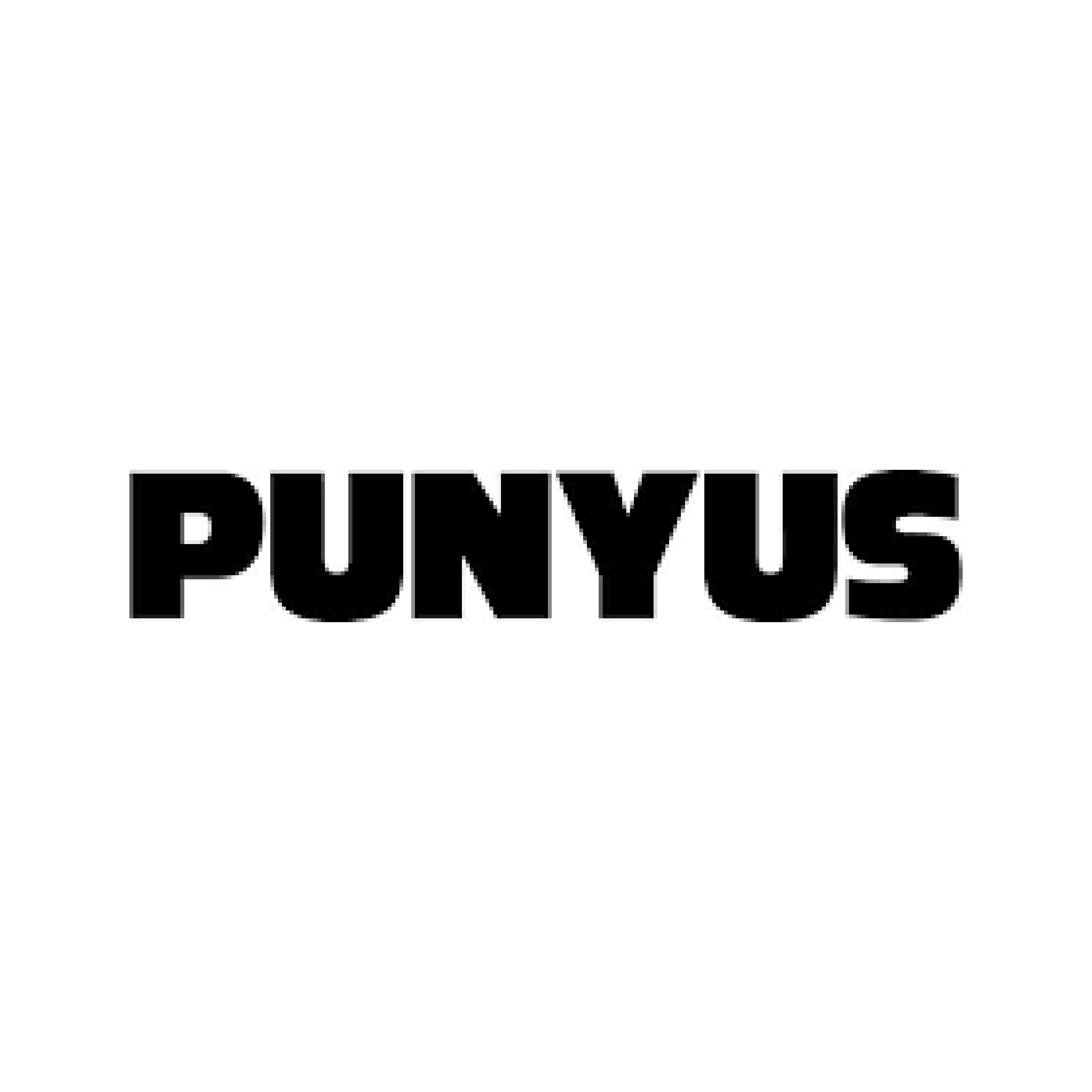 PUNYUS